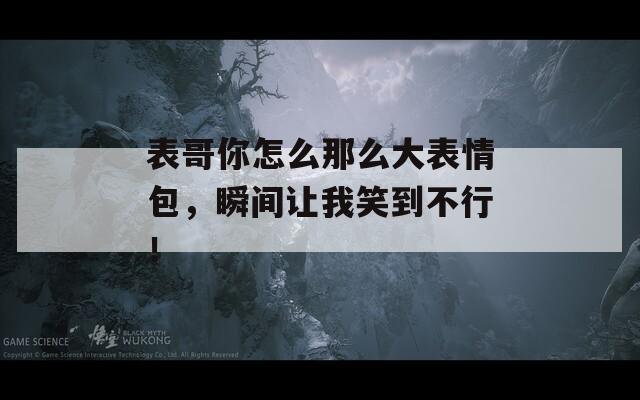 表哥你怎么那么大表情包，瞬间让我笑到不行！