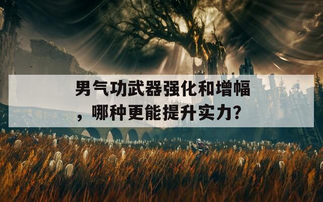 男气功武器强化和增幅，哪种更能提升实力？