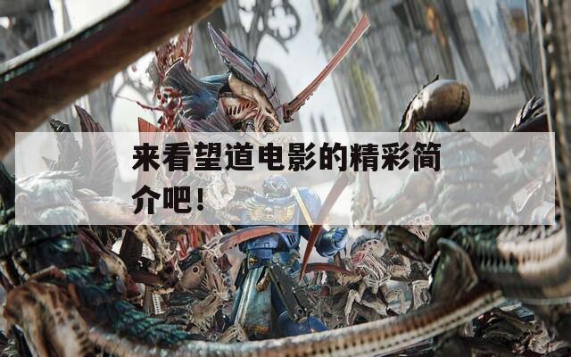 来看望道电影的精彩简介吧！