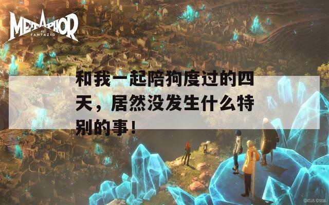 和我一起陪狗度过的四天，居然没发生什么特别的事！