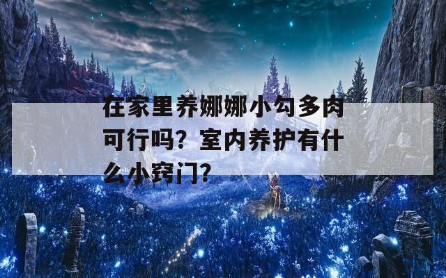 在家里养娜娜小勾多肉可行吗？室内养护有什么小窍门？