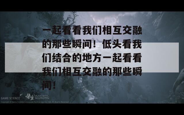 一起看看我们相互交融的那些瞬间！低头看我们结合的地方一起看看我们相互交融的那些瞬间！