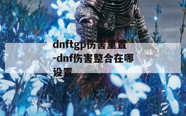 dnftgp伤害重置-dnf伤害整合在哪设置