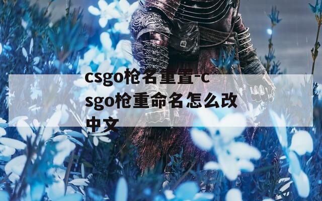csgo枪名重置-csgo枪重命名怎么改中文