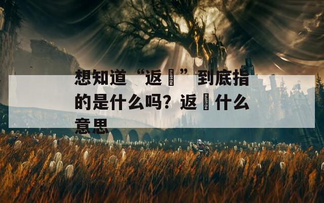 想知道“返穂”到底指的是什么吗？返穂什么意思