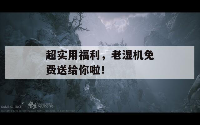 超实用福利，老湿机免费送给你啦！