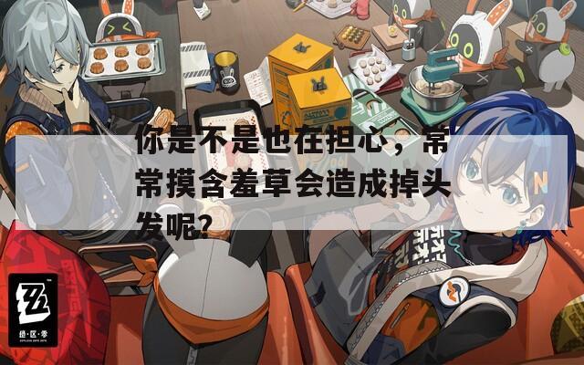你是不是也在担心，常常摸含羞草会造成掉头发呢？