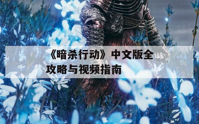 《暗杀行动》中文版全攻略与视频指南