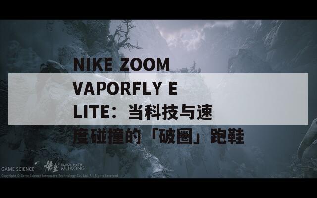 NIKE ZOOM VAPORFLY ELITE：当科技与速度碰撞的「破圈」跑鞋
