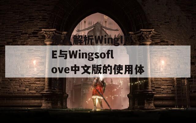 深入解析WingIDE与Wingsoflove中文版的使用体验