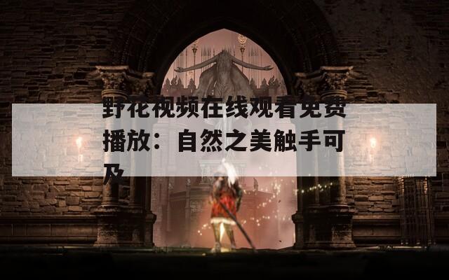 野花视频在线观看免费播放：自然之美触手可及