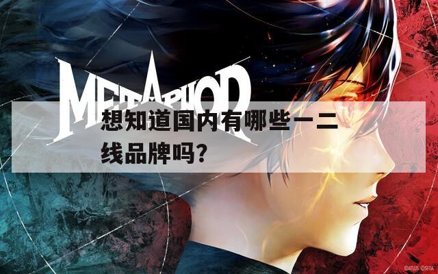 想知道国内有哪些一二线品牌吗？