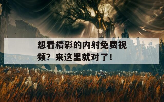 想看精彩的内射免费视频？来这里就对了！