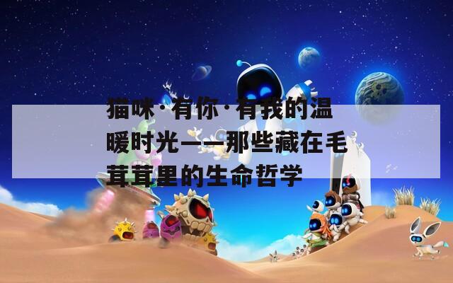 猫咪·有你·有我的温暖时光——那些藏在毛茸茸里的生命哲学