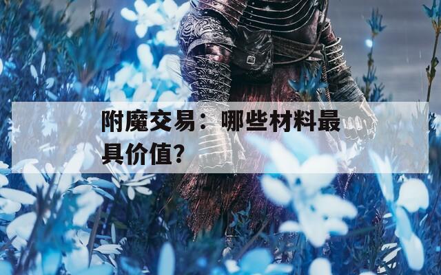 附魔交易：哪些材料最具价值？