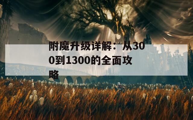 附魔升级详解：从300到1300的全面攻略