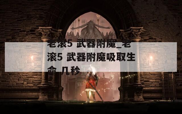 老滚5 武器附魔_老滚5 武器附魔吸取生命 几秒