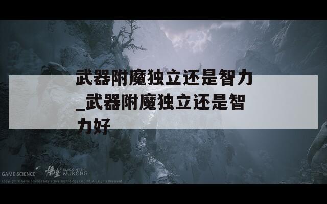 武器附魔独立还是智力_武器附魔独立还是智力好