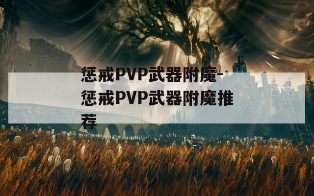 惩戒PVP武器附魔-惩戒PVP武器附魔推荐