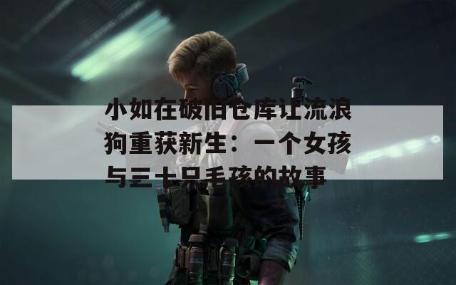小如在破旧仓库让流浪狗重获新生：一个女孩与三十只毛孩的故事
