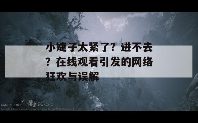 小婕子太紧了？进不去？在线观看引发的网络狂欢与误解