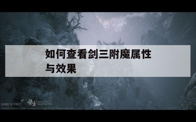 如何查看剑三附魔属性与效果