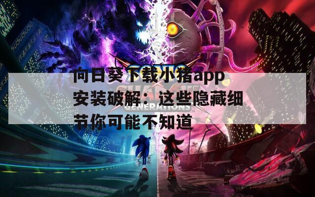 向日葵下载小猪app安装破解：这些隐藏细节你可能不知道
