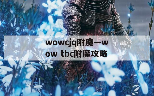 wowcjq附魔—wow tbc附魔攻略