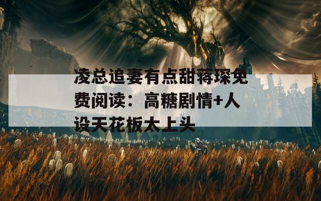 凌总追妻有点甜蒋琛免费阅读：高糖剧情+人设天花板太上头