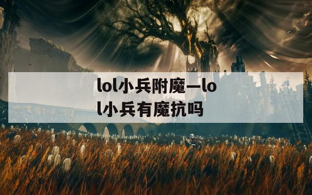 lol小兵附魔—lol小兵有魔抗吗