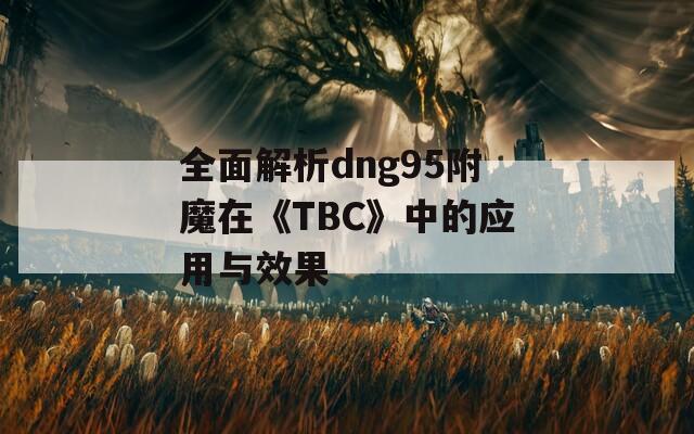 全面解析dng95附魔在《TBC》中的应用与效果