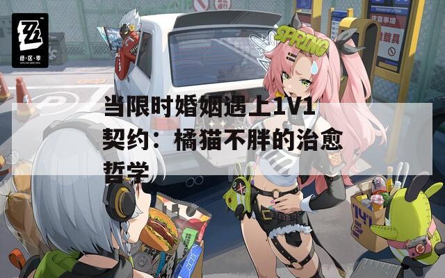 当限时婚姻遇上1V1契约：橘猫不胖的治愈哲学