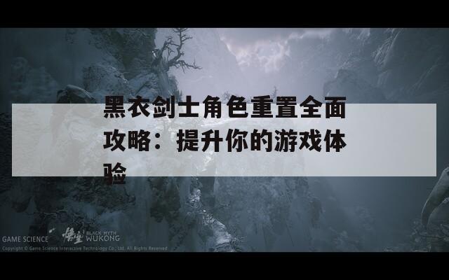 黑衣剑士角色重置全面攻略：提升你的游戏体验