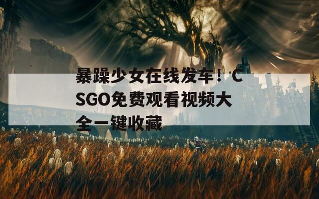 暴躁少女在线发车！CSGO免费观看视频大全一键收藏