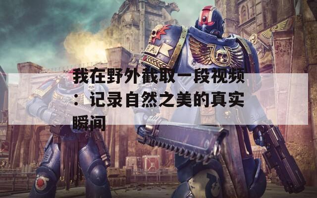 我在野外截取一段视频：记录自然之美的真实瞬间