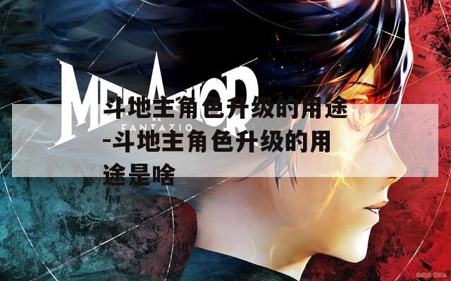 斗地主角色升级的用途-斗地主角色升级的用途是啥
