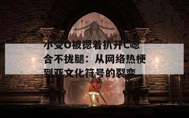 小受O被摁着扒开C嗯合不拢腿：从网络热梗到亚文化符号的裂变