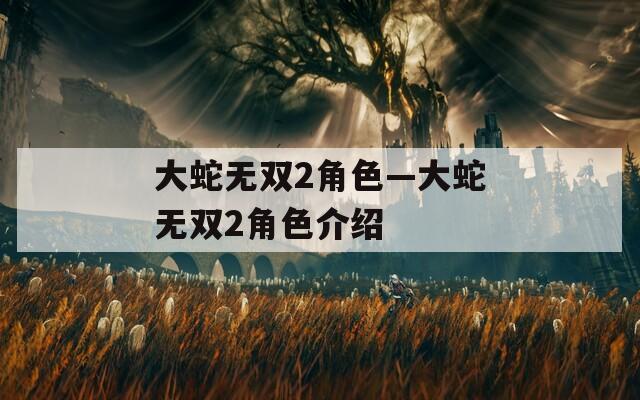 大蛇无双2角色—大蛇无双2角色介绍