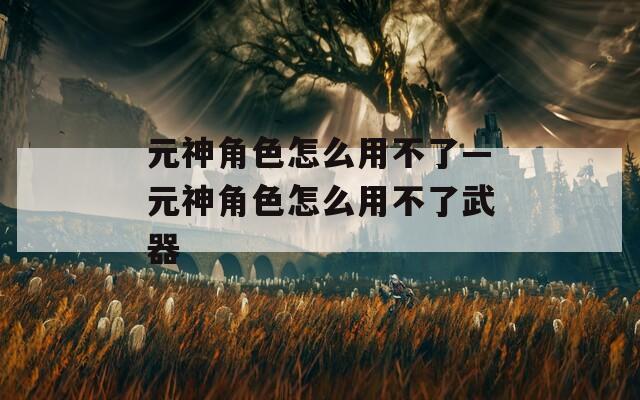 元神角色怎么用不了—元神角色怎么用不了武器
