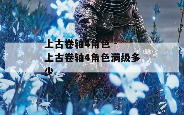 上古卷轴4角色 - 上古卷轴4角色满级多少