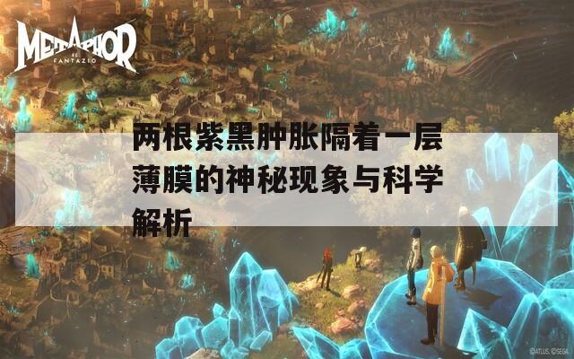 两根紫黑肿胀隔着一层薄膜的神秘现象与科学解析