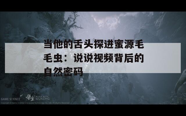 当他的舌头探进蜜源毛毛虫：说说视频背后的自然密码