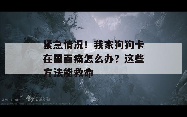 紧急情况！我家狗狗卡在里面痛怎么办？这些方法能救命