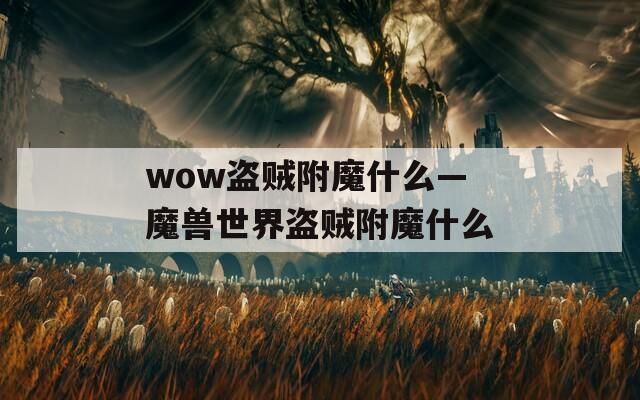 wow盗贼附魔什么—魔兽世界盗贼附魔什么
